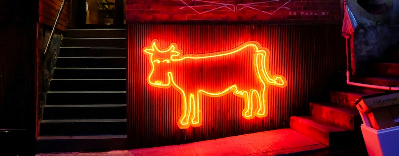 a neon sign depicting a cow